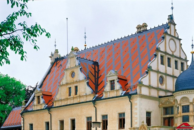    (Meyer-Holsen)