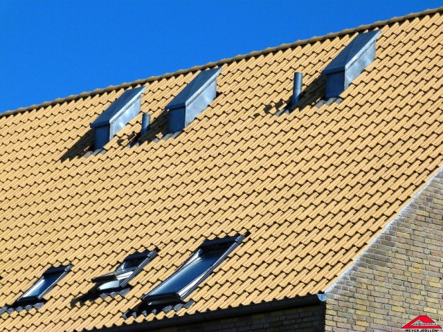Ƹ     (Meyer-Holsen)