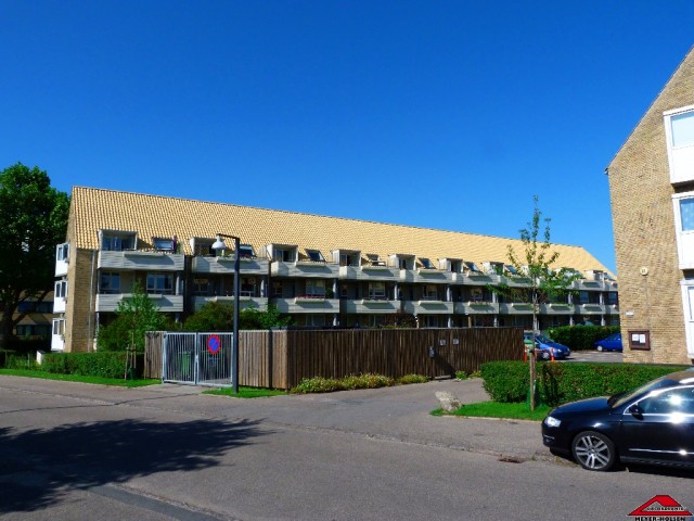   (Meyer-Holsen)