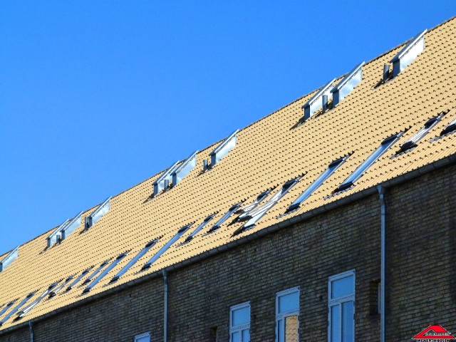 Ƹ     (Meyer-Holsen)