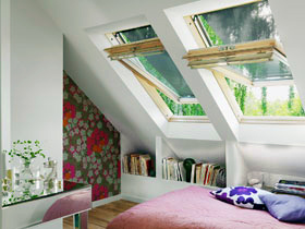     (Velux)